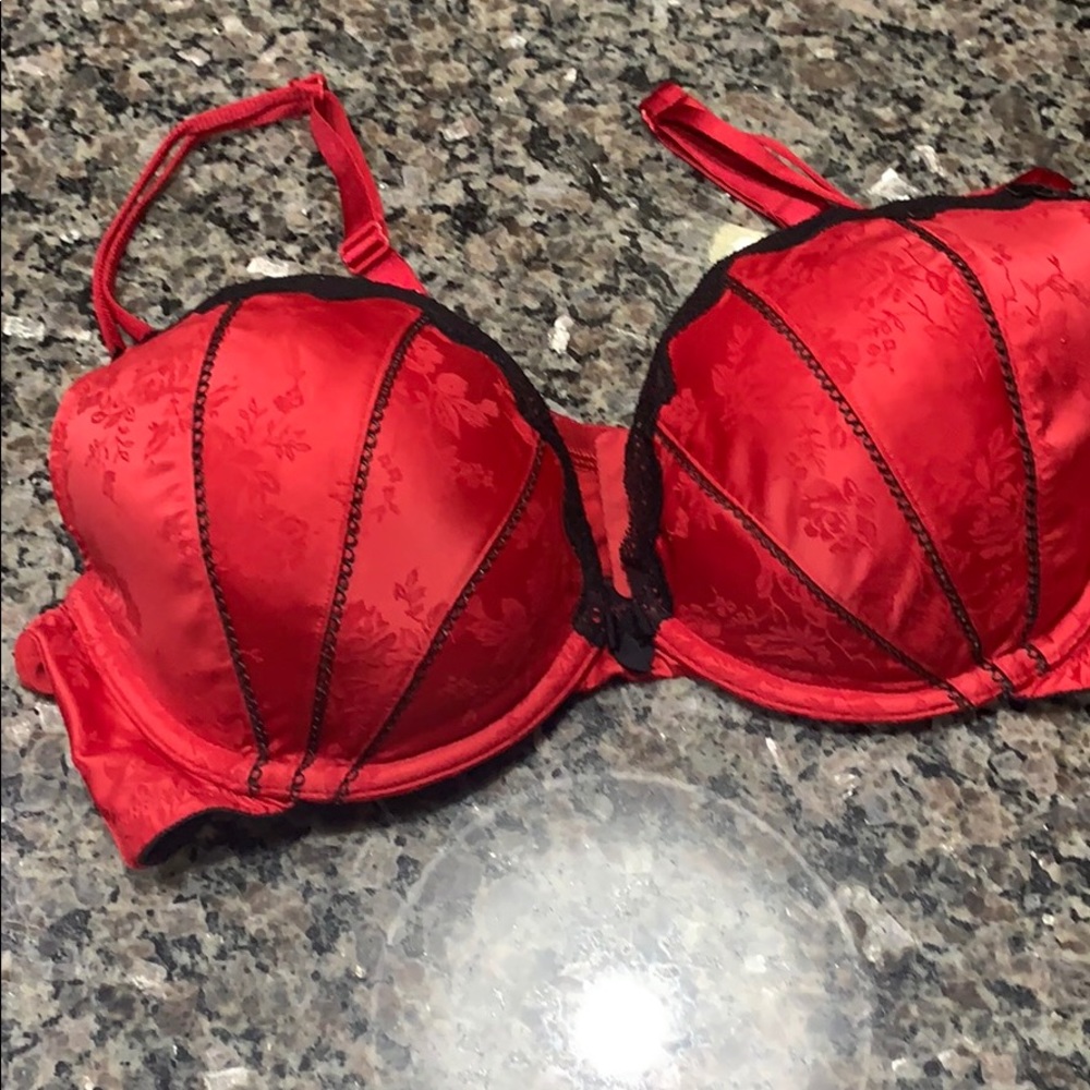 Cacique plunge bra